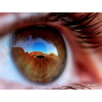 aaaa
