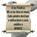 XANDERYES