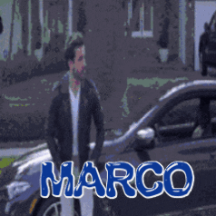 Marco World #1 Pets player