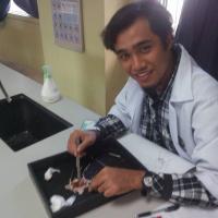 faiz fahmi azmi