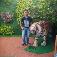 noknok