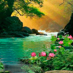 J@sღin@ 💖
