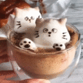 KiTTENESQUE don”t ask buy/flip :)))