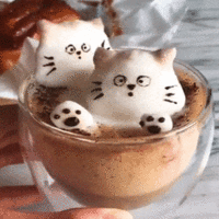 KiTTENESQUE don”t ask buy/flip :)))