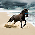Antonio M