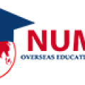 NUMEN EDUSERVICES