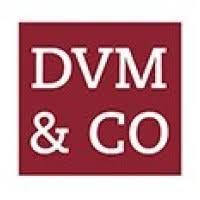 dvmanniondot