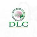 Dynamic-Leadership-Coaching