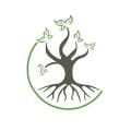 Five oaks chiropractic