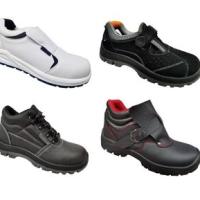 IPE Shoes