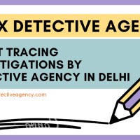 Detective Agency in Delhi