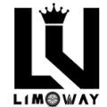 Corporate limo service