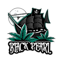 blackpearlmadrid