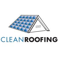 Clean Roofing