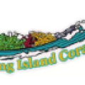 Long Island Corals