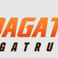 Web Đá Gà Trực Tiếp