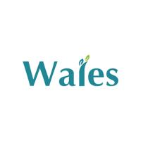 walesindustries