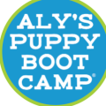alyspuppybootcamp