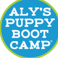 alyspuppybootcamp