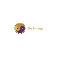 Life Synergy Retreat