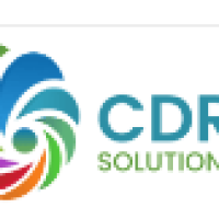 seo services