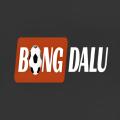 bongdalu100vip