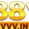 88vvvinfo