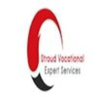 Stroud Vocational Expert Services, LLC