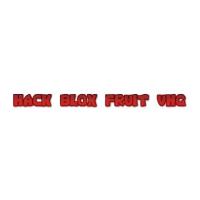Hack Blox Fruit VNG