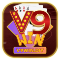 v9windiy