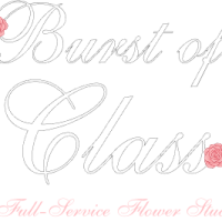 Burst of Class