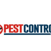 Best Pest Control Sydney