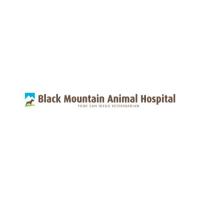 Black Mountain Animal Hospital Your San Diego Veterinarian
