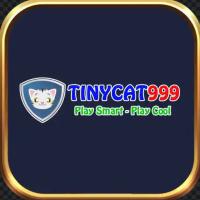 tinycat99casino