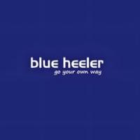 blue-heeler.shoes