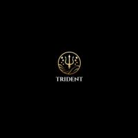 Trident Professional Cleaning Services