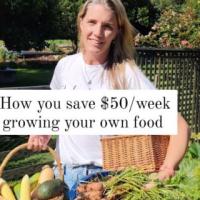 potager project