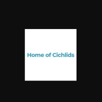 Home of Cichlids