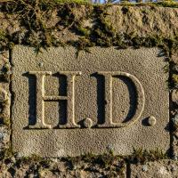 Hodgsom David