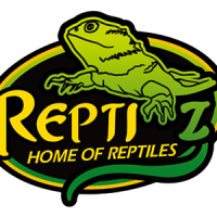 bulkreptileterrariums
