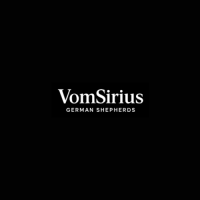 VomSirius German Shepherds