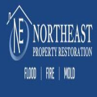 NORTHEAST PROPERTY RESTORATION