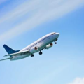 flighys667