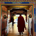 Tenzin Travel