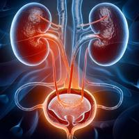 Urodoctor Patna