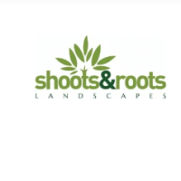 Shootsandrootswales
