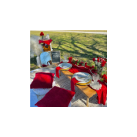 thetastypicnic
