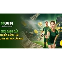 11wincompany