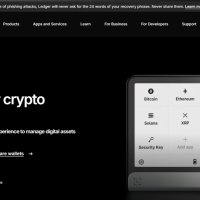 ledgercomstart
