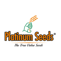 Platinum Seeds